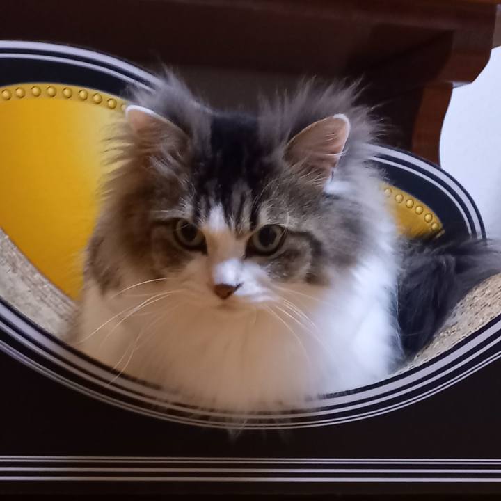 6ab449bb 66c7 4c12 8e32 18130718a0d3 1650533492380