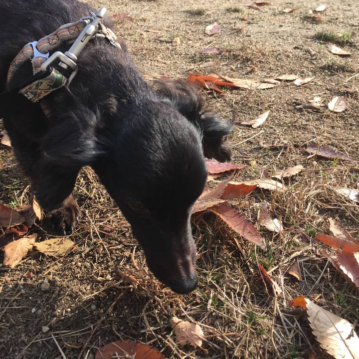 6ab47f02 4c04 4f6c be40 b7eb08051935 1545261534947