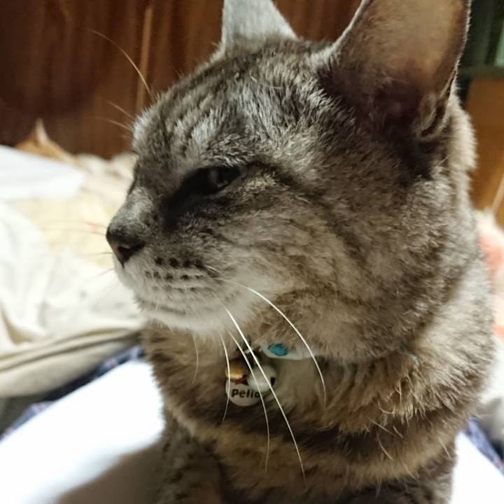 6ab4e1f3 55ad 43a5 aa50 237636eb57af 1562332644179