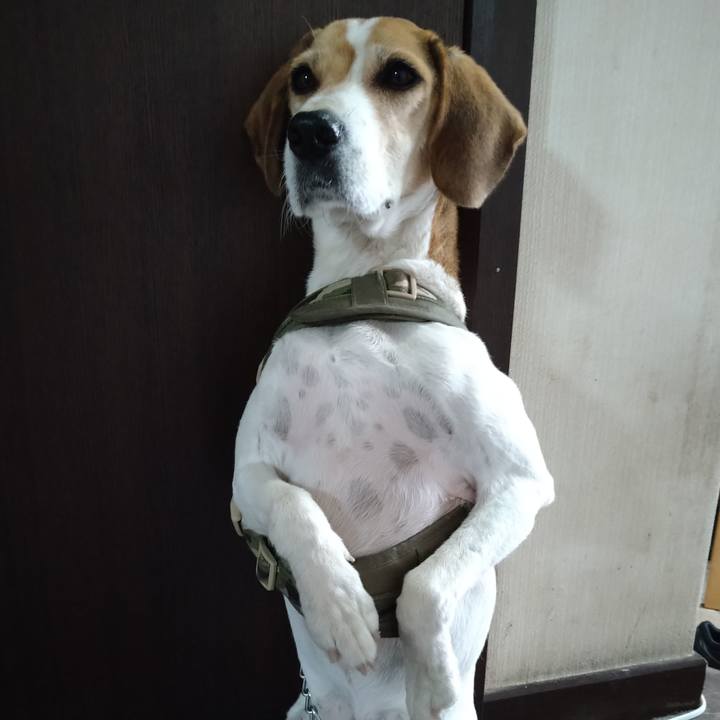 6ab50ac8 6656 40cc a9a8 833086255bac 1671359279981