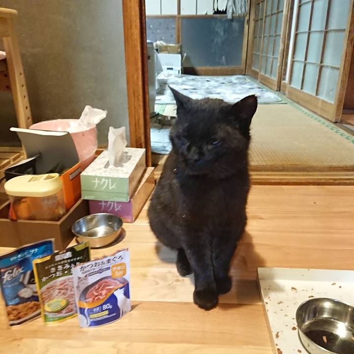 6ab51083 b44e 404a b670 74eadd82b365 1622461883853