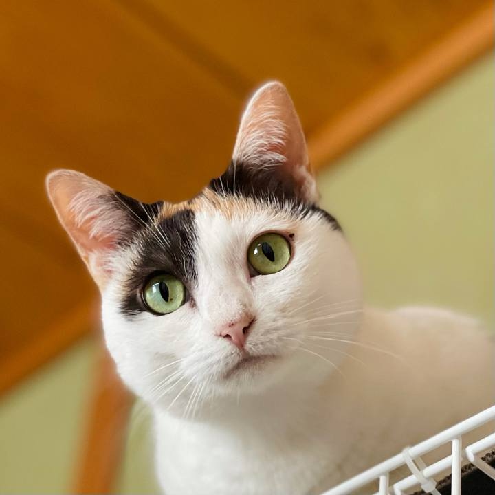 6ab53719 e75f 4fa3 a1e3 e1b1e6aa2ae4 1624933975447