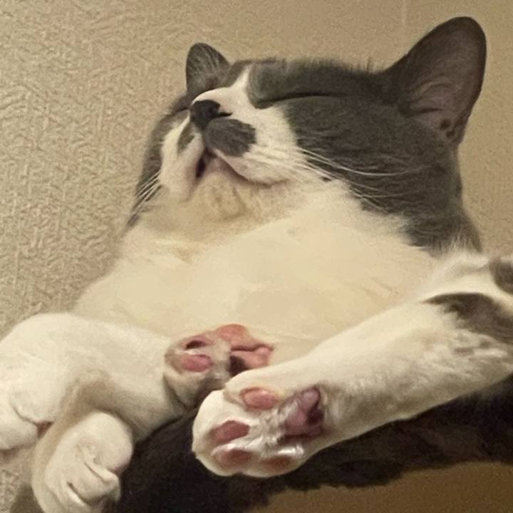 6ab53d9d 8e74 4347 a0a8 ad8a74ec322e 1750947389238