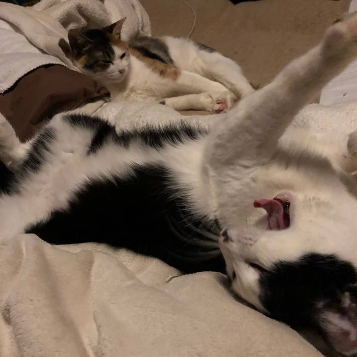 6ab544db 6fb0 4f0d bac7 5690c81f8d4d 1581092293476