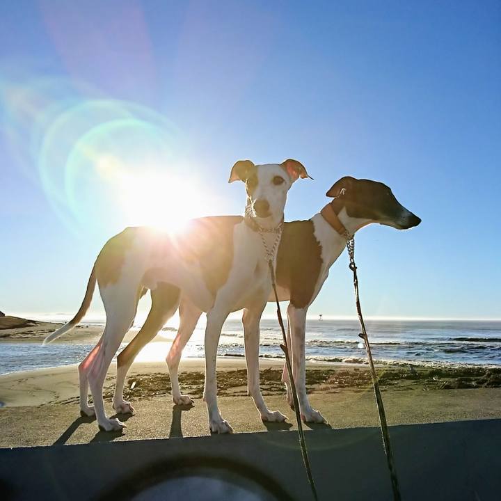 6ab55284 99e4 4fb4 99ff 59a0156c3f00 1570936863981
