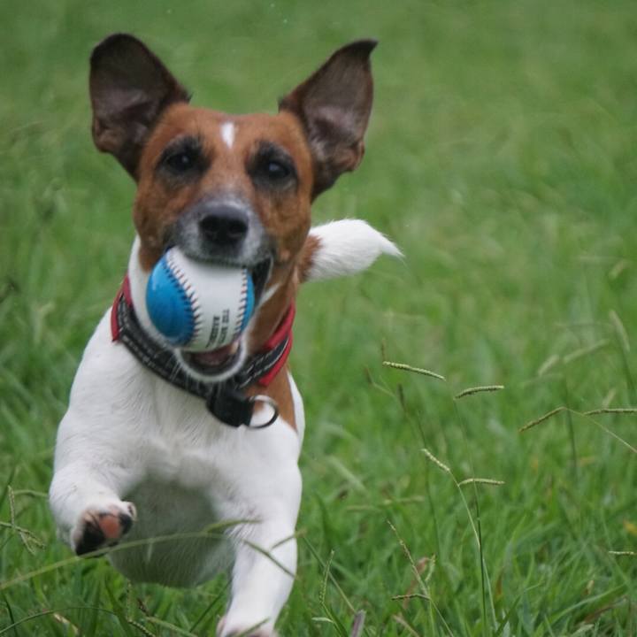 6ab5657c 1703 4f7b b73e 2065ca498fca 1536274838461