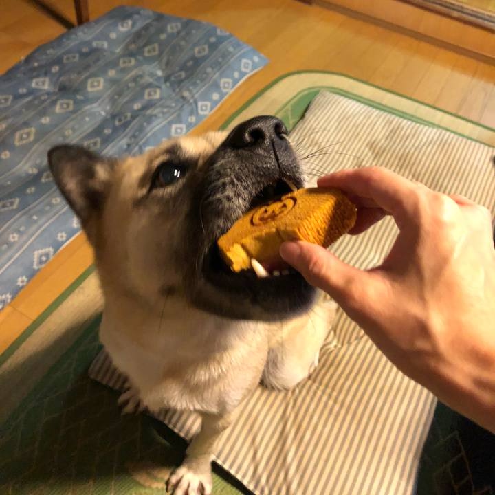 6ab589bf 53d3 400f 9dbf d2f8304302e0 1601638602054