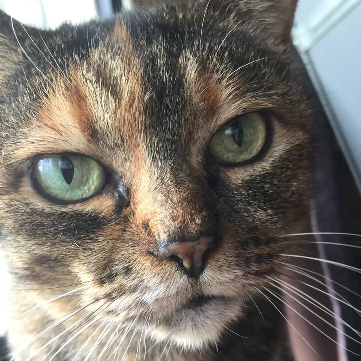 6ab59082 5ea0 4a61 b27e a627aa2041db 1549777457491