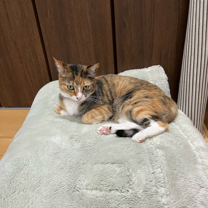 6ab5a2c7 c508 4928 88e4 bb2d879d1967 1683814858881