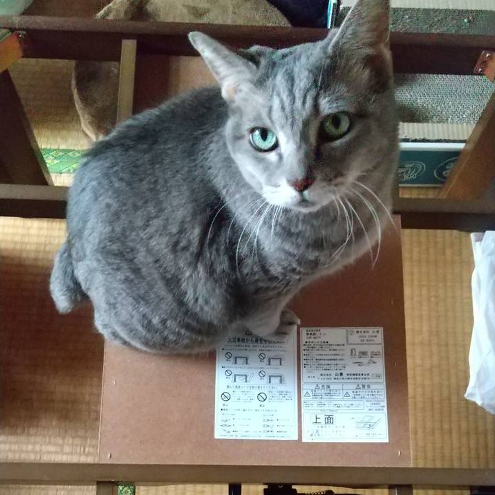 6ab5b1ac 53d4 4acd 8e43 3fe5aff019fb 1604811485191