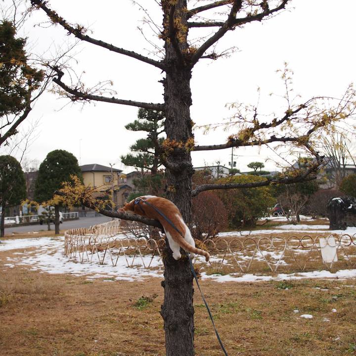 6ab5b4db dd56 4e89 a92e 0d6fa4b11d36 1514705166402