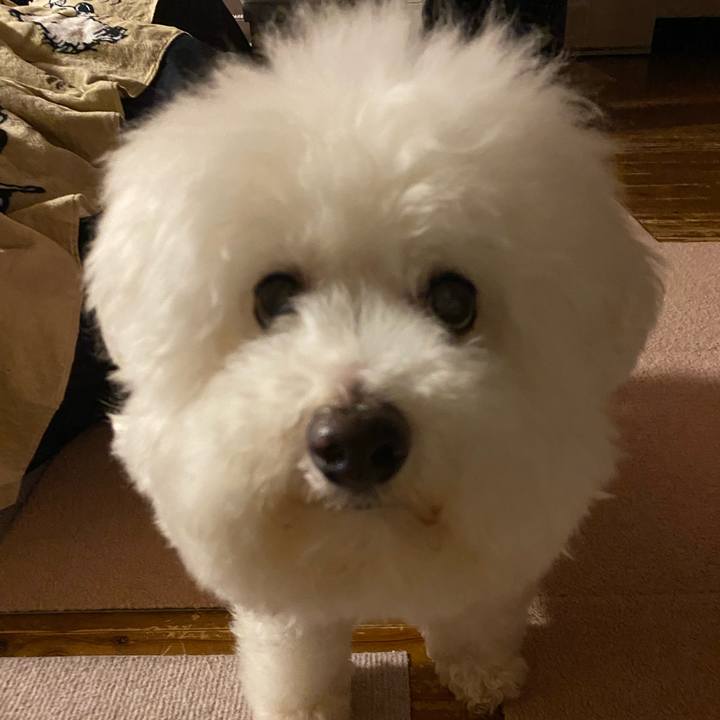 6ab5b9a1 940b 4b62 9087 8f82e3829f37 1625838009671