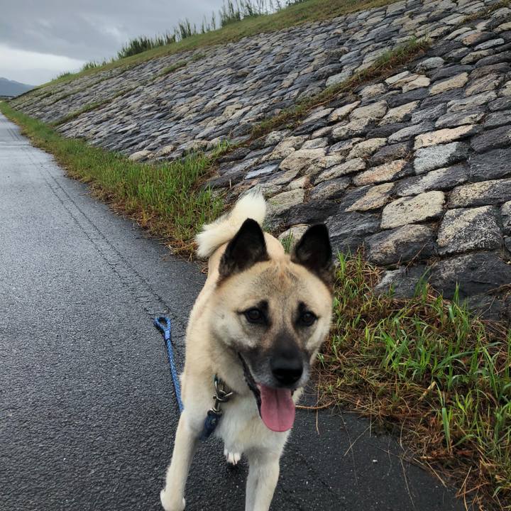 6ab5c5fb 3fae 4e18 af77 b7facb712369 1599899276001