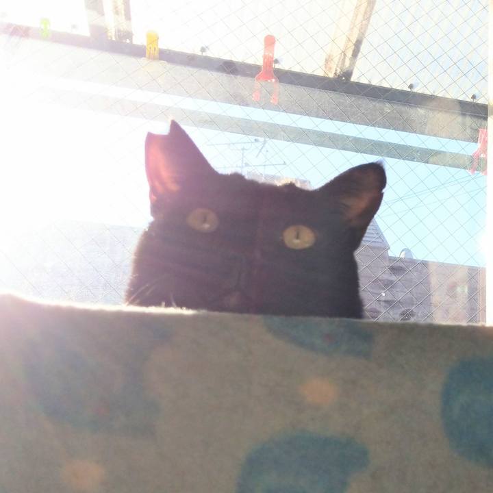 6ab5ebd0 193e 4f01 a7f4 6ed628584653 1575073644003