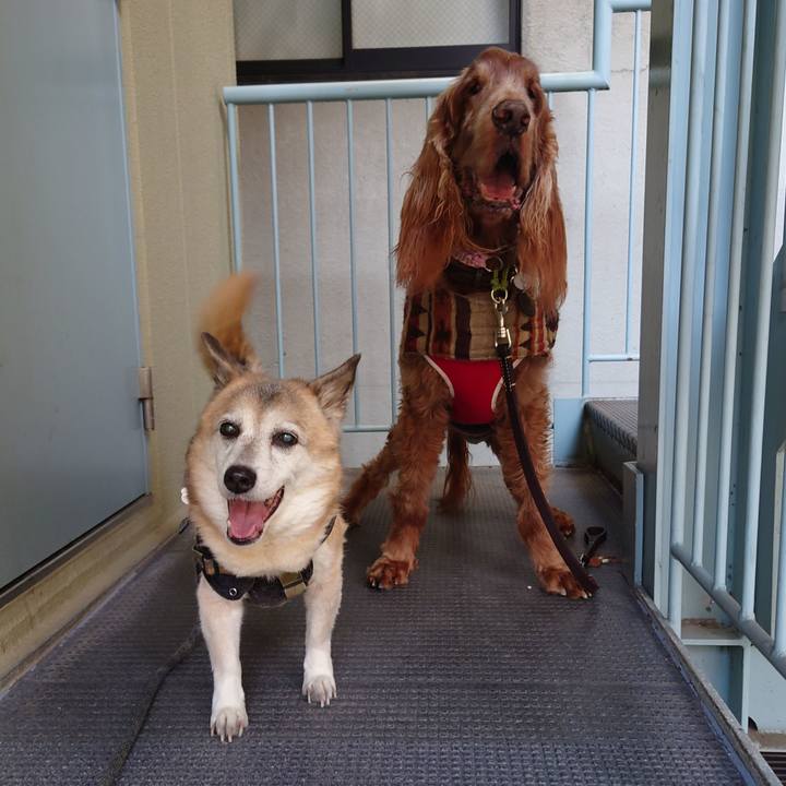 6ab5fa82 1e81 43c9 84ed 4bcbcee2c547 1706336263898