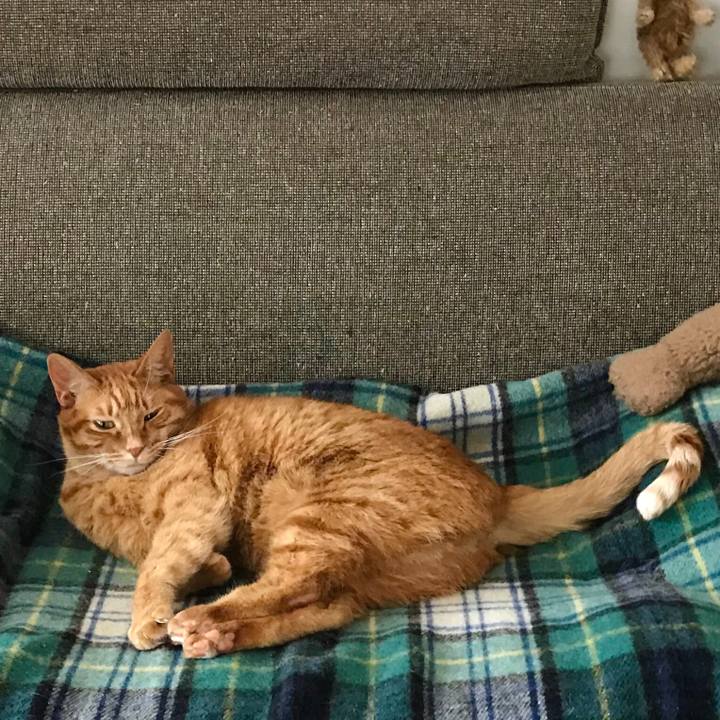 6ab5fd69 460d 4b0c 8472 25683999481c 1517798431348