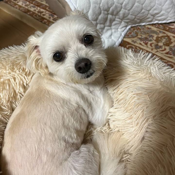 6ab60f35 372e 4d29 9153 5e2a5e13e889 1655473362884