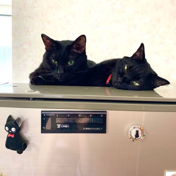 6ab61282 417d 49bd 8947 4f355260144d 1591752471429