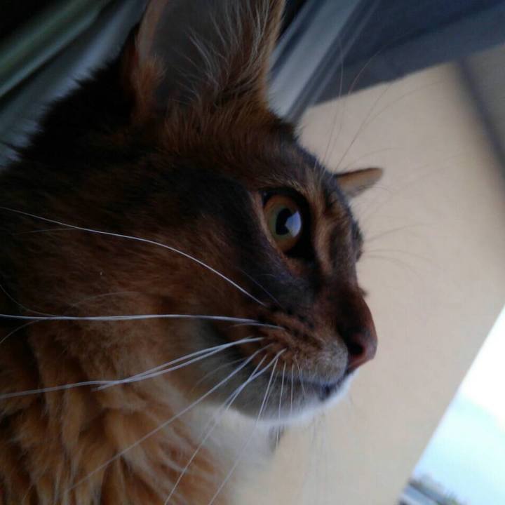 6ab6173f 7f08 4681 88ce 225a964d4261 1588117631339