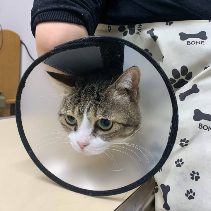 6ab6524a 1ae9 4cce bcdb 016a85433a10 1611024799964