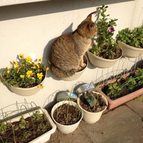 6ab67622 12a6 4134 8a65 c017741e512e 1580859421812