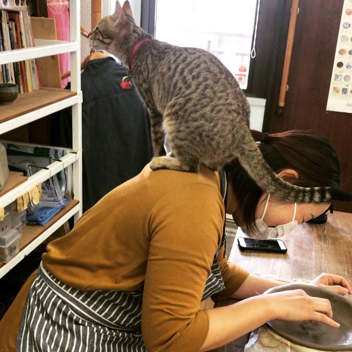 6ab67d29 05aa 4c7d 9154 e397a410da45 1584934819063