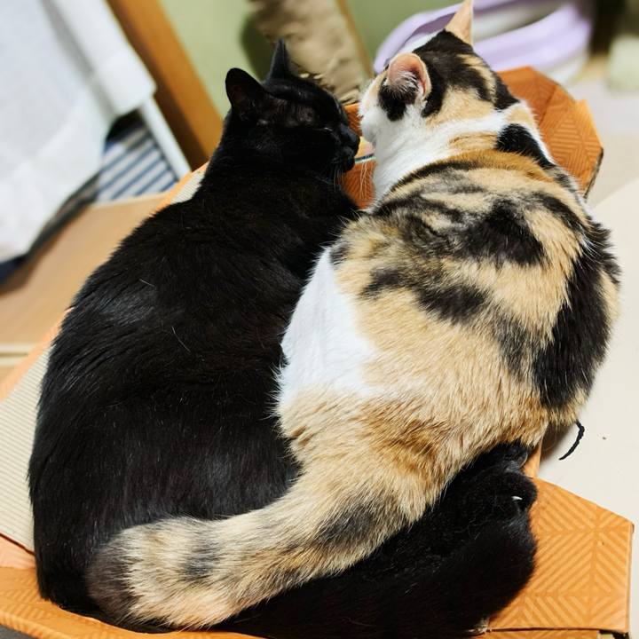 6ab70425 6102 46f5 bfe9 efa100d3e4f6 1599187029256