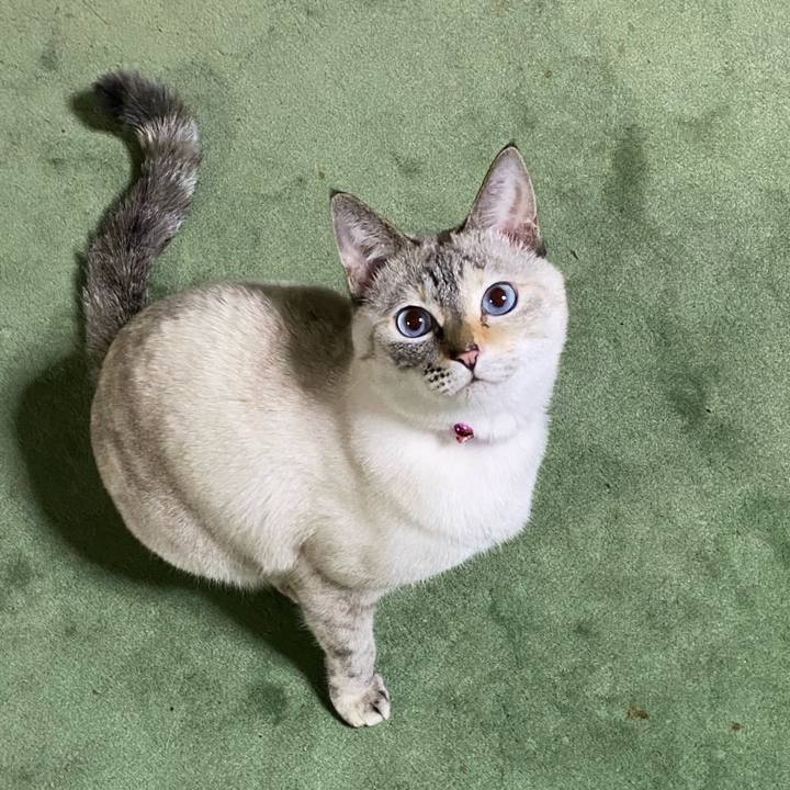 6ab70f5f 1000 4e29 8944 08baa524f269 1732966424403