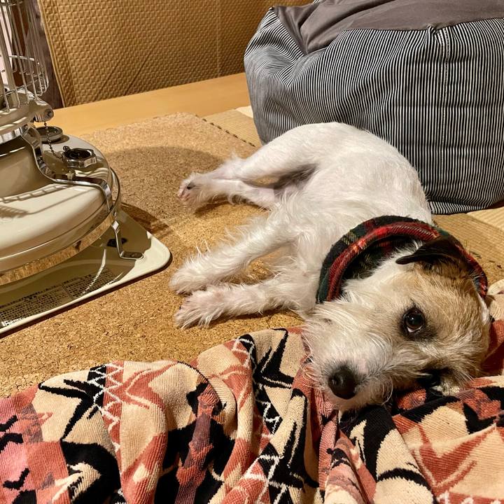 6ab714f0 66ed 4096 8008 125bc9571d4e 1680009958552