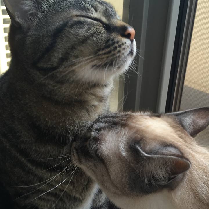 6ab7206c b24a 4031 abc5 3f7bb7a7481b 1588208997003