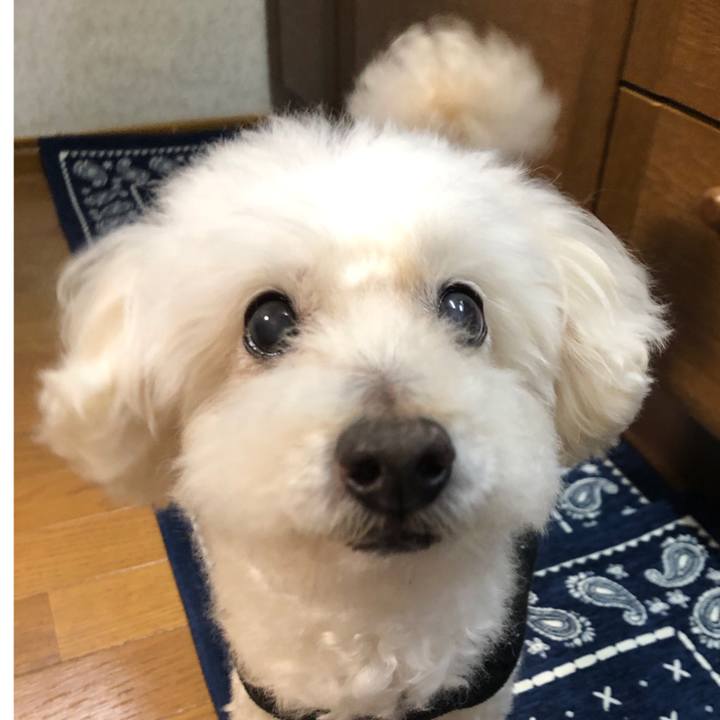 6ab726f5 6fb9 4664 88bf f7eebac007f8 1557354321688