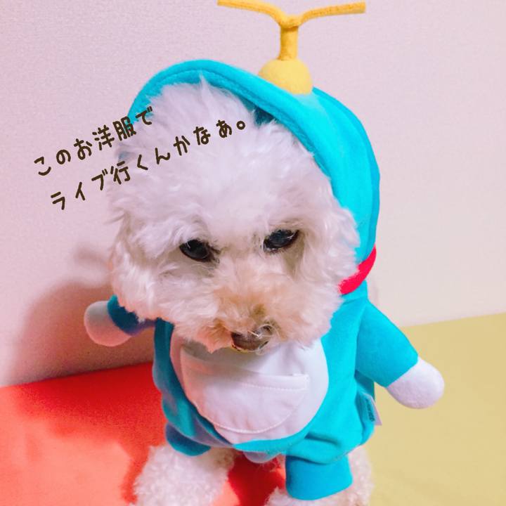 6ab734ac ce3f 49ef 8c18 69c907c09a27 1509355454727