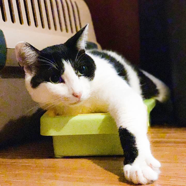 6ab751fc ded2 4793 9d6c e46b288d2647 1568771717805