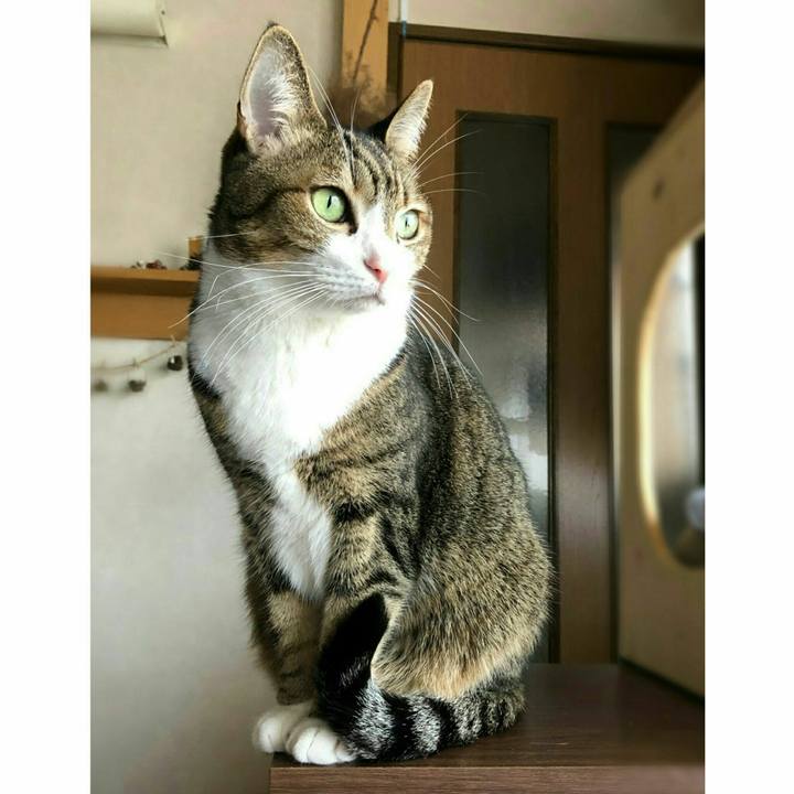 6ab797ec 0c63 4c12 bf92 a96ae8206f0f 1580888492598