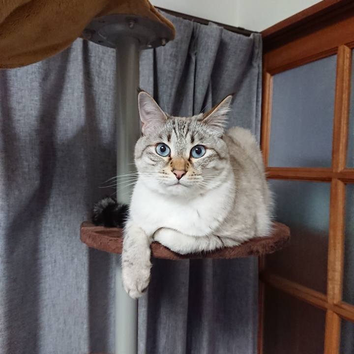 6ab7b006 57af 4676 a25b 1773be726497 1611744599657