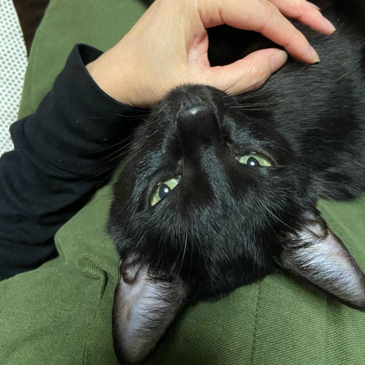 6ab7d382 e497 4175 b3ba 188740fffe8e 1667993892206