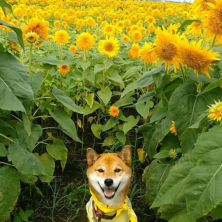 6ab80286 6bd6 40c1 8e1f 757d7ead7922 1567217235879