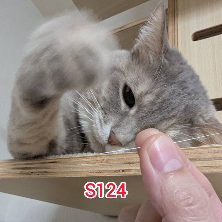 6ab805d5 bc44 468c 8da7 f9a335909c9e 1734865212580