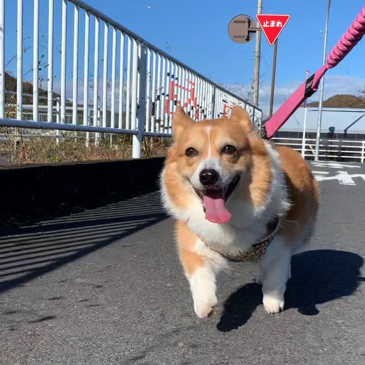 6ab80d58 f358 4399 81ff bd91ce7e2eaa 1669007648028