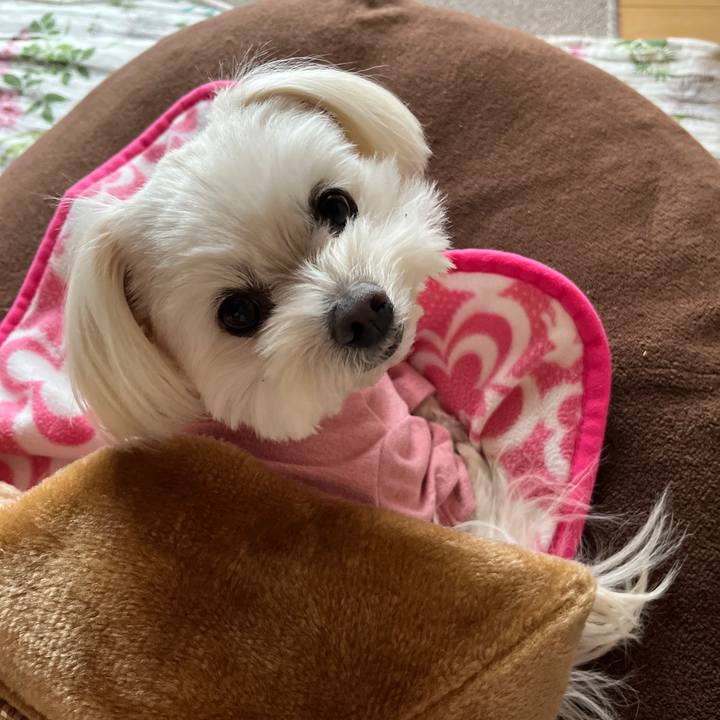 6ab817b7 2e77 4d29 a553 251e920d8618 1676438613025