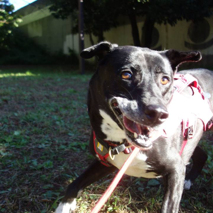 6ab83ca6 b968 4dfb befa a1cfb5778533 1698626339373