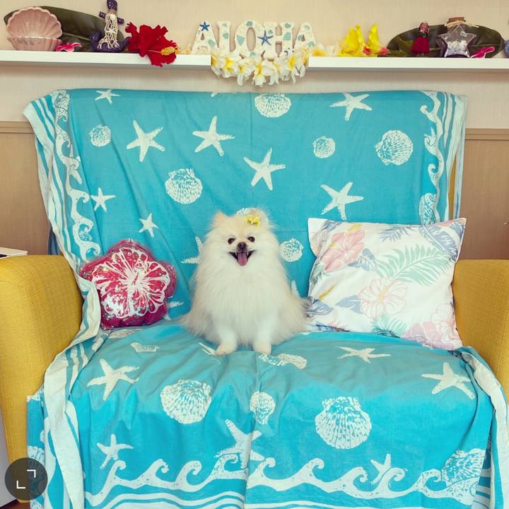 6ab84977 45a9 402c bd9c 1ef98c6c0083 1688712502141