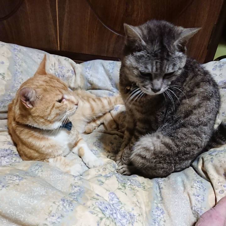 6ab8a04d 1b94 49f3 92c9 a997c888b6e5 1563027684479