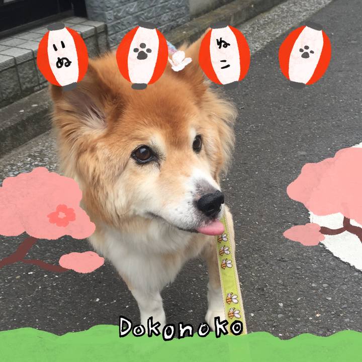 6ab8af1e b566 4dff 87fc e09dedeff50d 1712315260006