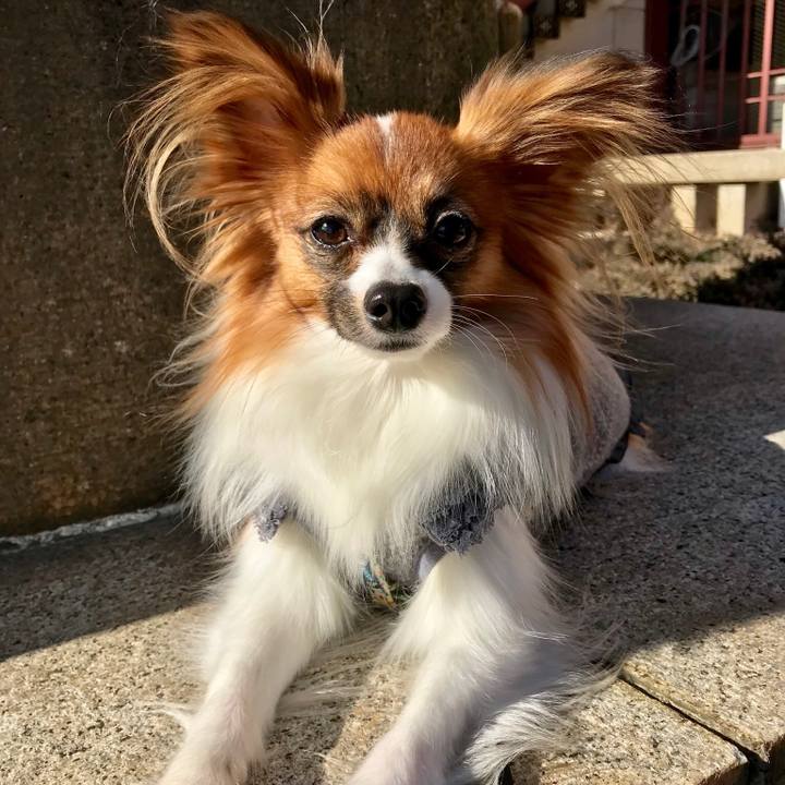 6ab9295c b1e4 4856 a573 35216857936c 1514805712761