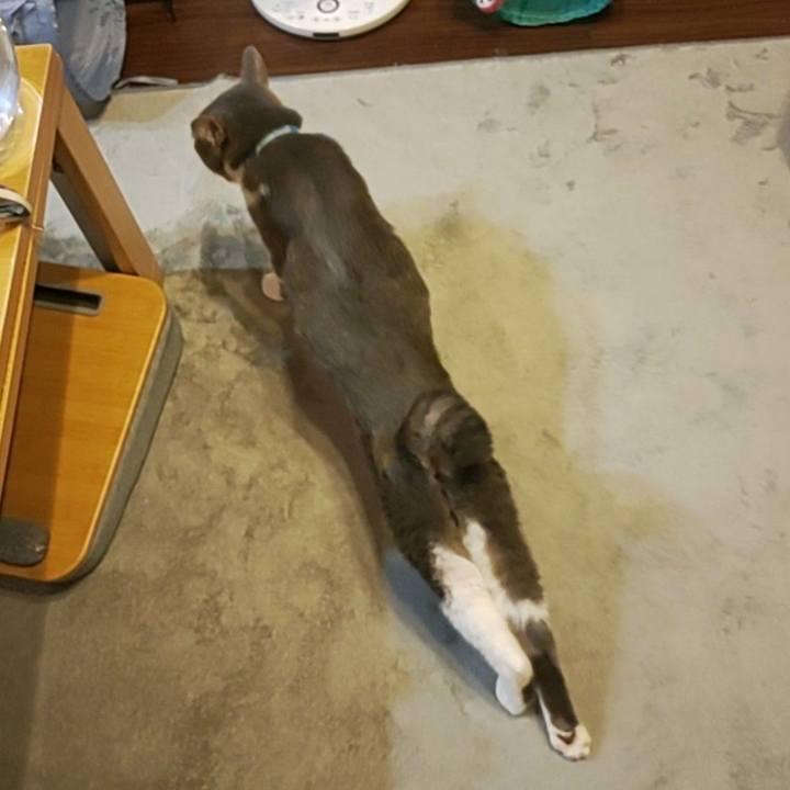 6ab931f9 0c87 4bd9 a25e ec117e209fc2 1659964061432