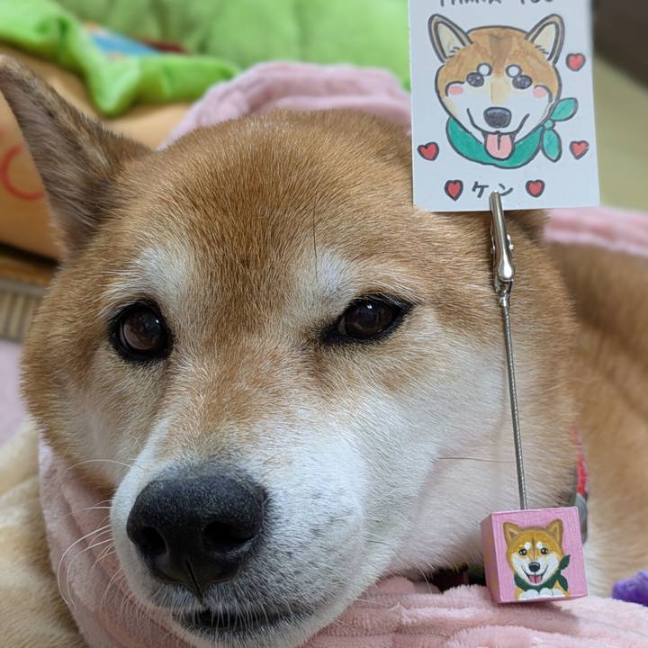 6ab951ea dfb6 4150 ba06 27308b77f9c9 1755906640619