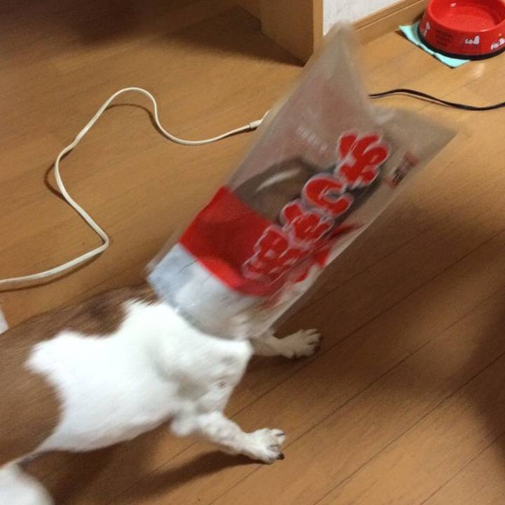 6ab95564 03d3 44b7 a696 0451df64c806 1558483501093