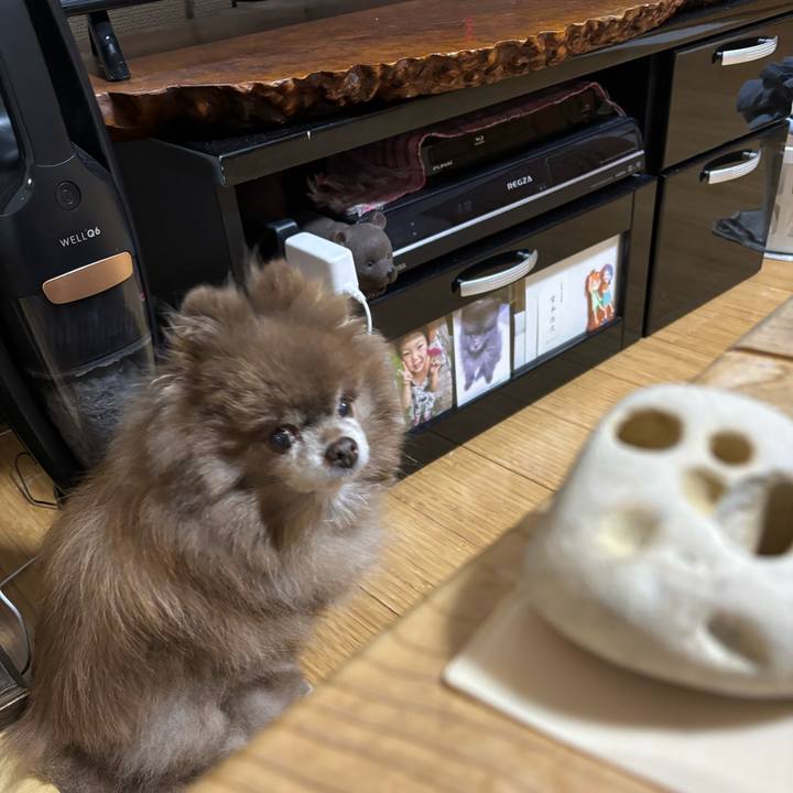 6ab9811c cfc6 483a 8e27 5e1fe6fe5396 1767217154905