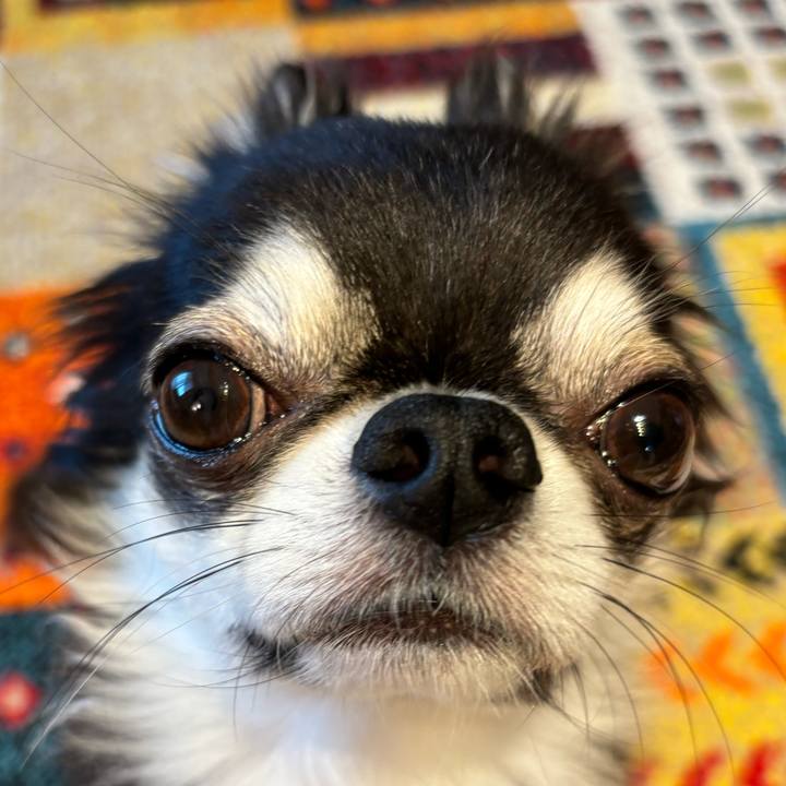 6ab985c4 e7a9 4110 8733 44bb0f7db245 1725144455163